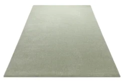 Kurzflorteppich Licht Grün