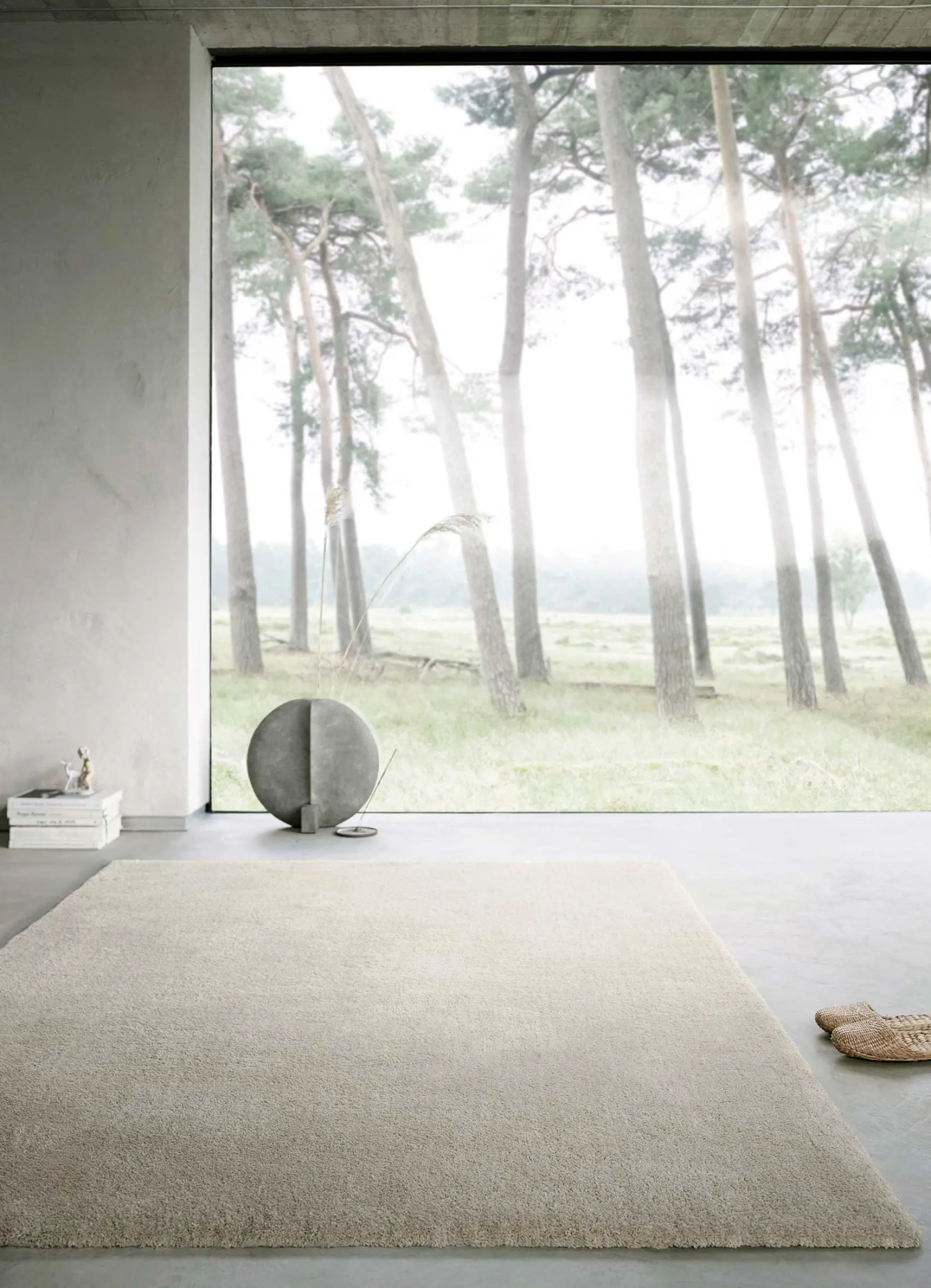 Teppich Beige Grau Hochflor "Emilia" WECONhome Basics