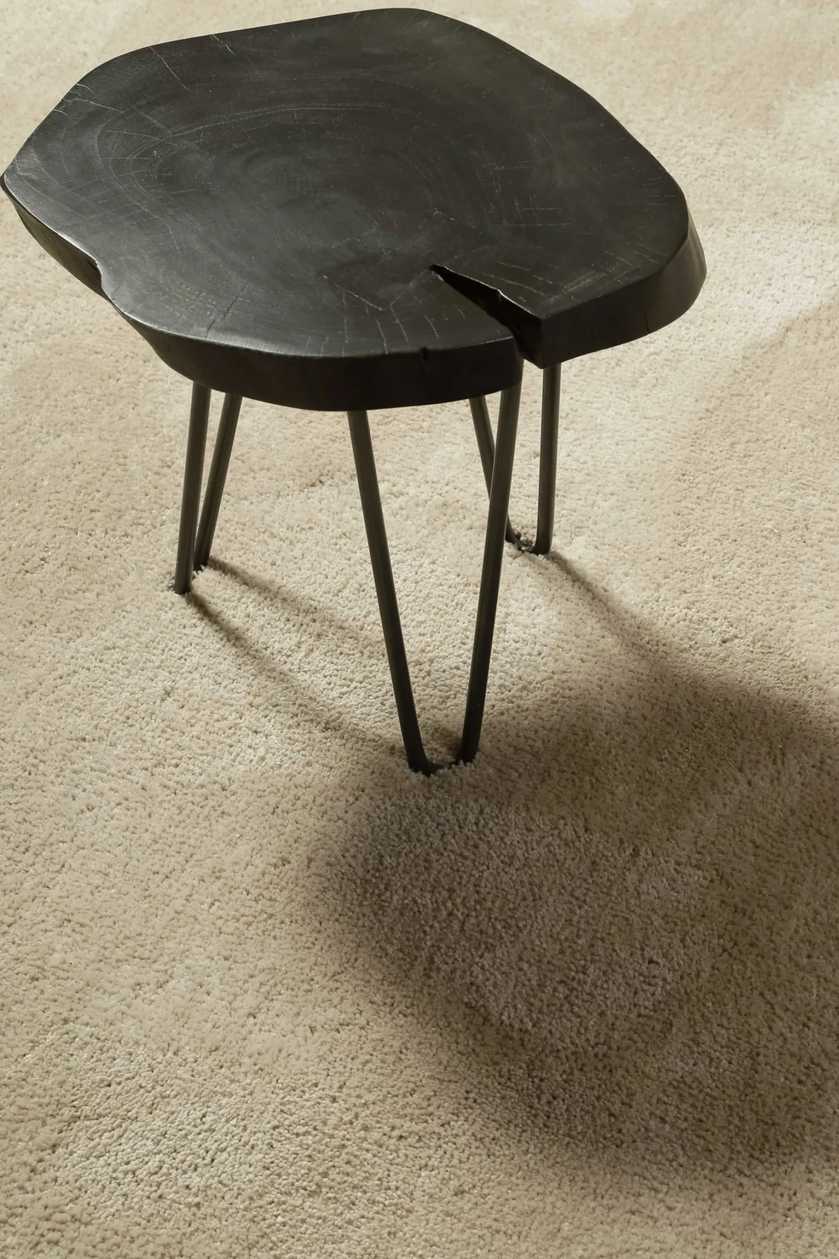 Teppich Beige Hochflor "Pisa" Homie Living