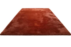 Teppich Braun Hochflor "Pisa" Homie Living