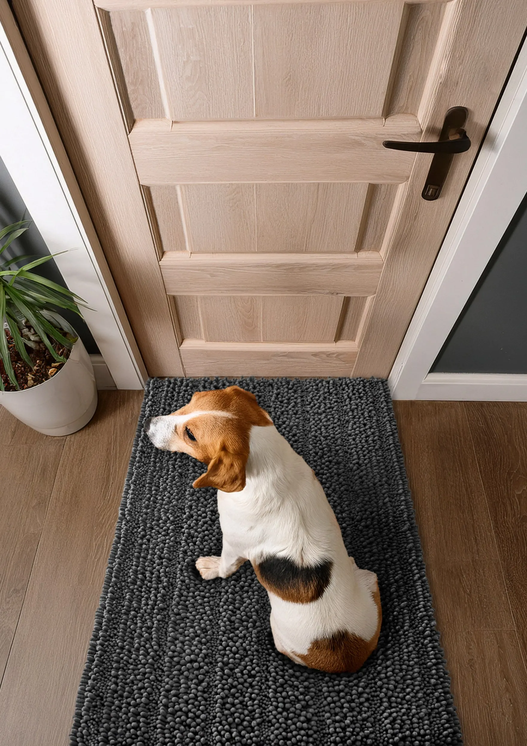 Waschbarer Haustierteppich für Hunde & Katzen Grau "Cooper" carPETS