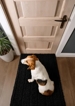 Waschbarer Haustierteppich für Hunde & Katzen Schwarz