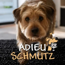 Waschbarer Haustierteppich für Hunde & Katzen Schwarz